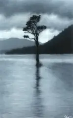 Eliot Coates, Untitled