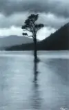 Eliot Coates, Untitled