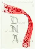 Daniel Malone, DNA, Study for the Global in the Local