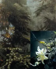 John Young, French Wallpaper Flower Study #2
