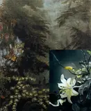 John Young, French Wallpaper Flower Study #2