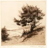 Constance Alice Lloyd, The Road