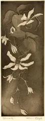 Constance Alice Lloyd, Clematis