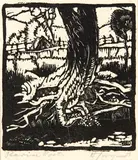 Herbert Richard Tornquist, Puriri Roots
