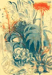 Cactus in Flower by Stewart Bell Maclennan, sold Oct 2018