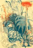 Stewart Bell Maclennan, Cactus in Flower