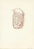 Barry Cleavin, H/C – Cameo