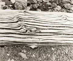 Untitled – Texture Study by Max Coolahan, offered Oct 2018