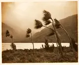 George Chance, Storm, Lake Wanaka
