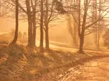 George Chance, Winter Sunshine