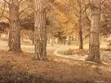 George Chance, Sunshine and Shade