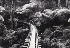 Gil Hanly, Barry Brickell’s Driving Creek Railway, Circa 1980s