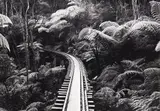 Gil Hanly, Barry Brickell’s Driving Creek Railway, Circa 1980s