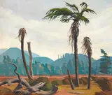 Irvine James Major, Pungas, West Coast, South Island