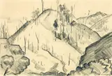 Arthur Cecil Hipwell, Hills at Te Whaiti