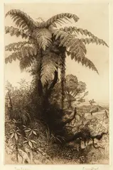 Tree Ferns by Trevor Lloyd, sold Oct 2018