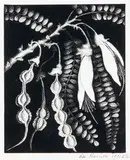 Rei Hamon, Kowhai in Bloom