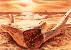 Driftwood by Ernest Mervyn Taylor, offered Oct 2018