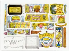 A Survival Box: A Response to Generic Packaging by Gavin Chilcott, sold Oct 2018