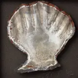 Jeffrey Thomson, Queen Scallop