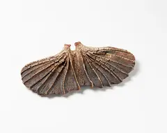 Winged Form by Len Castle, offered Oct 2018