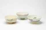 Frank Carpay for Crown Lynn, Three large hand painted footed bowls