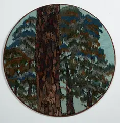 Vivienne Mountfort, Pinus Pinaster 1 from the series Harmony in Co–Existence