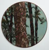 Vivienne Mountfort, Pinus Pinaster 2 from the series Harmony in Co–Existence