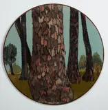 Vivienne Mountfort, Pinus Pinaster 3 from the series Harmony in Co–Existence