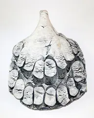 Large hanging form by Len Castle, sold Feb 2018