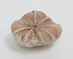 Fossil by Len Castle, sold Feb 2018
