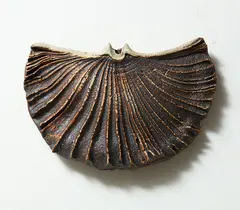 Impressive winged hanging form by Len Castle, sold Jun 2017