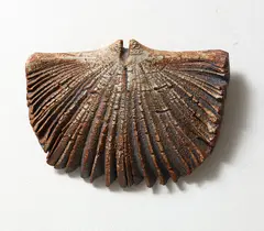 Winged hanging form by Len Castle, sold Jun 2017