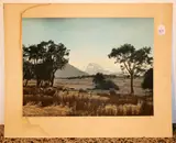 Two unframed hand coloured photographs by Whites Aviation, offered Dec 2015