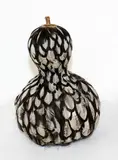 Katy Wallace, Transmogrifier #67 Feathered Gourd