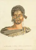 John William Lewin, A Hoodee of Gunna Chief of Rangee Hoo