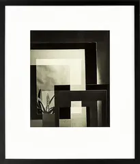 Frank Simon Hofmann, Composition with Cactus, 1952, 1952