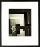 Frank Simon Hofmann, Composition with Cactus, 1952, 1952