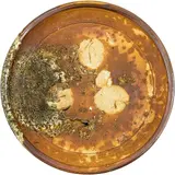 Chester Neilie, Exceptionally rare and important early woodfired stoneware plate