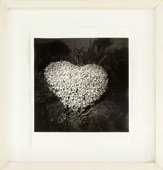 Patrick Reynolds, Heart Bush