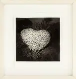 Patrick Reynolds, Heart Bush