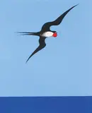 Don Binney, Pacific Frigate Bird