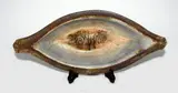 Martin Beck, Stoneware elliptical shaped bowl