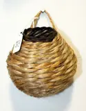 Ruth Castle, Small hanging basket