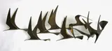 Curtis Jeré, Birds in flight