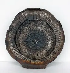 Stan Jenkins, Large stoneware discoid vase