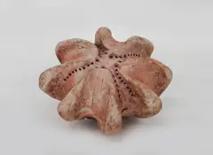Fossil by Len Castle, sold Oct 2012