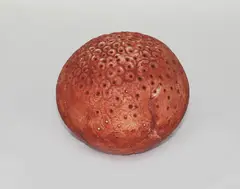 Fossil, ovoid earthenware form by Len Castle, sold Oct 2012