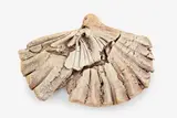 Len Castle, Fossilised Bird