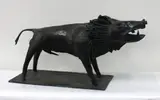 John Middleditch, Wild Hog